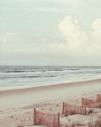 Picture of BEACH FENCE II