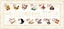 Picture of 12 DAYS OF CHRISTMAS