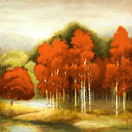 Picture of AUTUMN BIRCHWOOD I