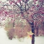 Picture of WINTER BERRIES II