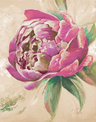 Picture of BEAUTIFUL BOUQUET OF PEONIES IN PINK II