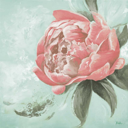 Picture of PINK PEONIES II
