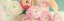 Picture of BLUSHING BLOSSOMS PANEL