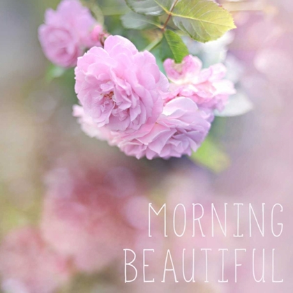 Picture of MORNING BEAUTIFUL