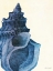 Picture of BLUE SHELL I