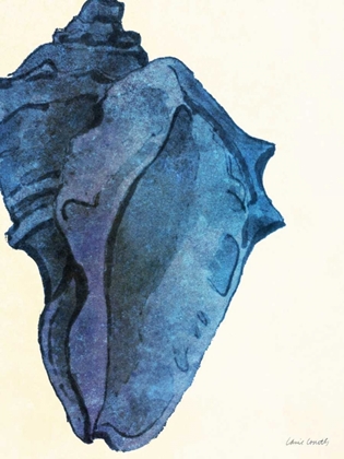 Picture of BLUE SHELL II