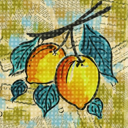 Picture of FASHION FRUIT II