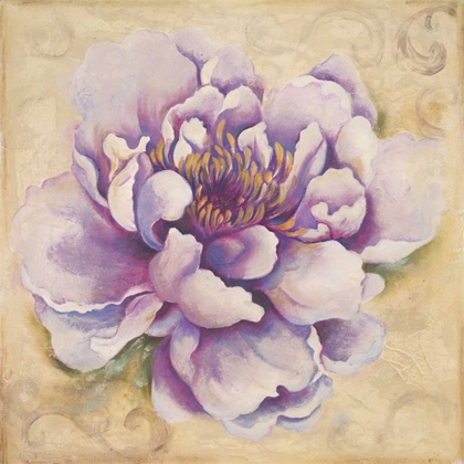 Picture of IN BLOOM II