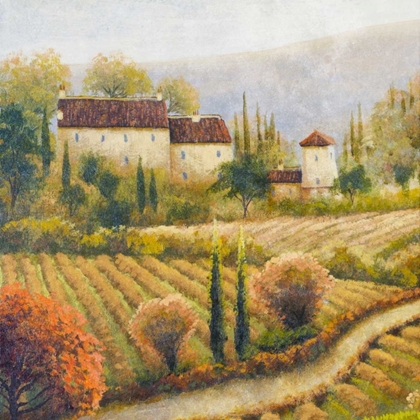 Picture of TUSCANY VINEYARD I