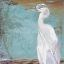 Picture of TROPIC HERON II