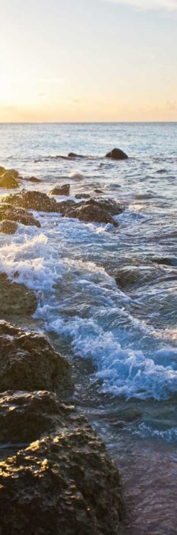 Picture of BIMINI COASTLINE I