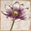 Picture of DEFINED LOTUS II