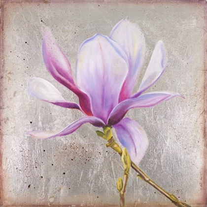 Picture of MAGNOLIA ON SILVER LEAF II