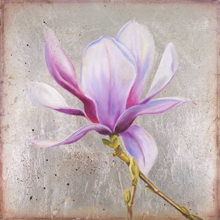 Picture of MAGNOLIA ON SILVER LEAF II