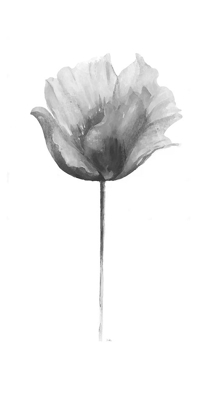 Picture of FLOWER IN GRAY PANEL I