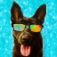Picture of PUPPY WITH SHADES II