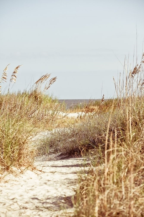 Picture of PALM TO BEACH