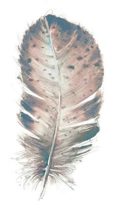 Picture of PASTEL FEATHER I