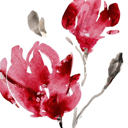 Picture of RED MAGNOLIAS