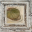 Picture of FLOWERS AND LEAVES SQUARE II