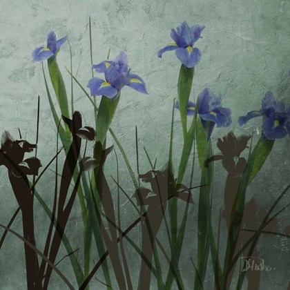 Picture of BLUE IRISES I