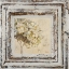 Picture of FLOWERS AND LEAVES SQUARE VI