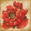 Picture of RED PEONY ON GOLD