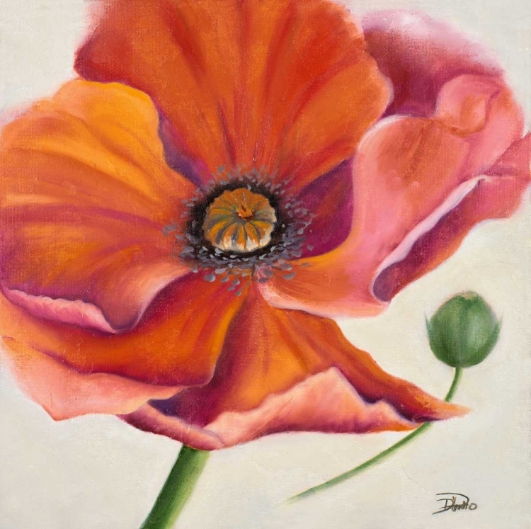 Picture of POPPY FLOWER II