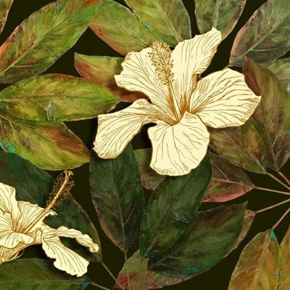 Picture of HIBISCUS LEAVES II