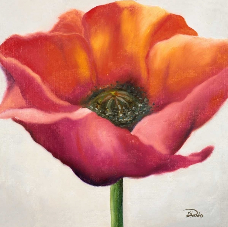 Picture of POPPY FLOWER I