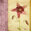 Picture of VINTAGE DIARY SQUARE I