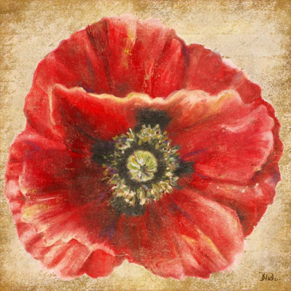 Picture of RED POPPY ON GOLD