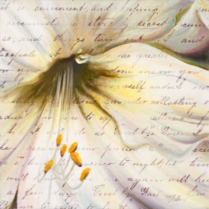Picture of LILY SCRIPT II
