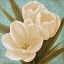 Picture of BLUE MORNING TULIPS I