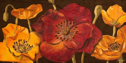 Picture of DAZZLING POPPIES I