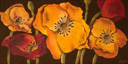 Picture of DAZZLING POPPIES II