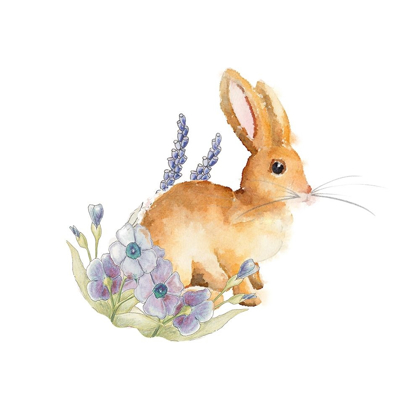 Picture of SPRING BUNNY II