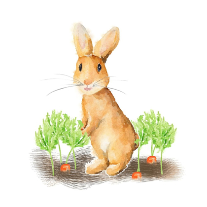 Picture of SPRING BUNNY IV