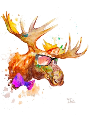 Picture of COOL MOOSE