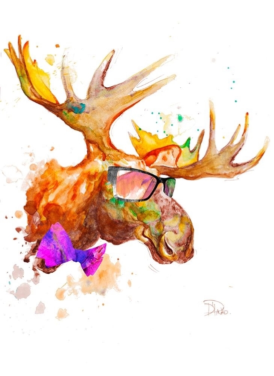 Picture of COOL MOOSE