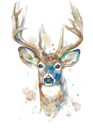 Picture of DEER FACING FRONT