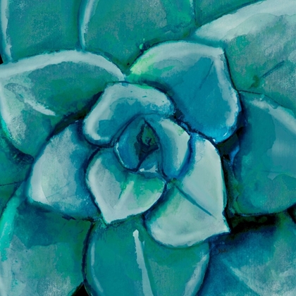 Picture of BLUE SUCCULENT