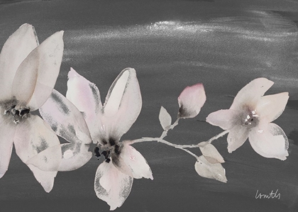 Picture of BLOOMING WHISPERS ON CHALKBOARD I