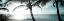 Picture of COOL BIMINI I