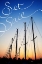 Picture of SET SAIL
