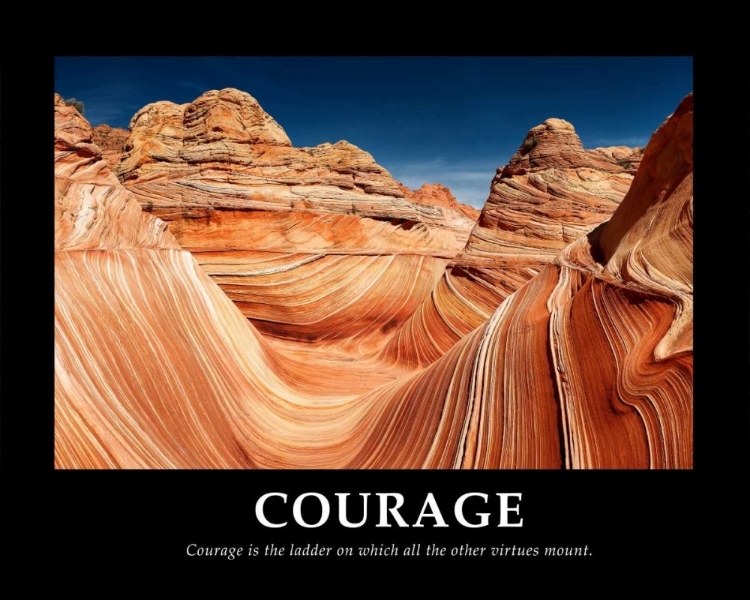 Picture of COURAGE