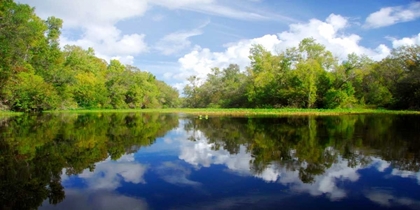 Picture of RIVER FLOW