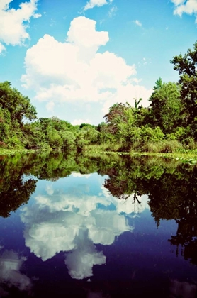Picture of SUNNY DAYS ON THE RIVER