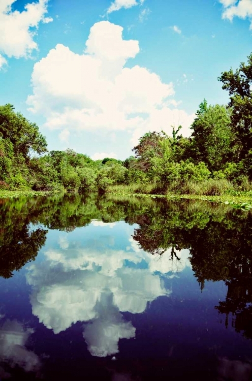 Picture of SUNNY DAYS ON THE RIVER