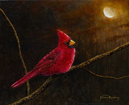 Picture of CARDINAL IN THE MOONLIGHT
